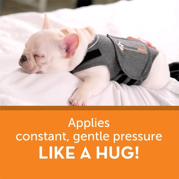 ThunderShirt for Dogs heather grey sz -XS 8-14Lbs - Picture 9 of 13